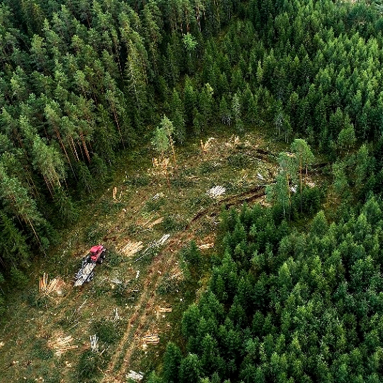 Obisk Žabljaka, Črna gora