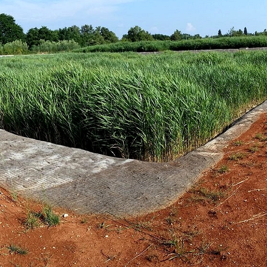 In Montenegro we provided wastewater treatment for 500 inhabitants with a constructed wetland