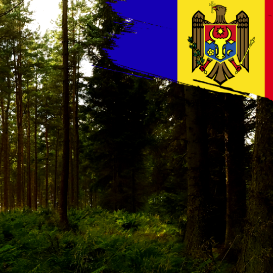 Trajnostno upravljanje gozdov v Moldaviji