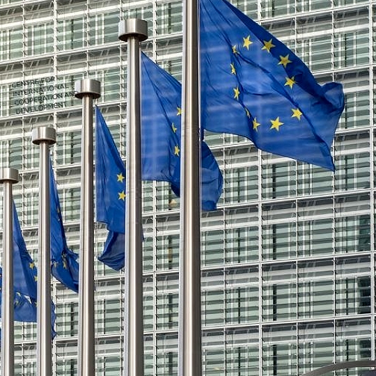 Objava javnega razpisa JNMV 4/2025: Izbor neodvisne revizijske hiše za izvedbo stebrne ocene